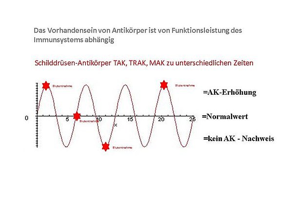 csm_Schwankungen_der_Laborwerte2_960486abd1.jpeg  