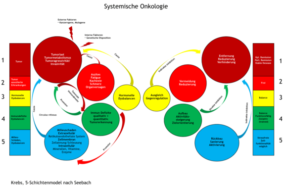 systemische-onkologie.png  